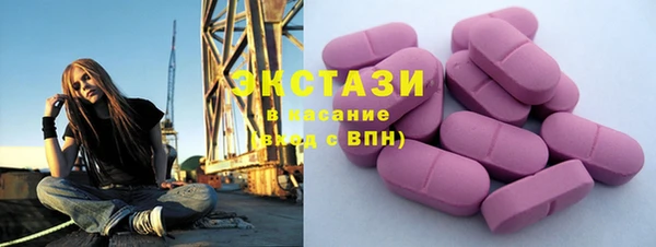 СК Алексин