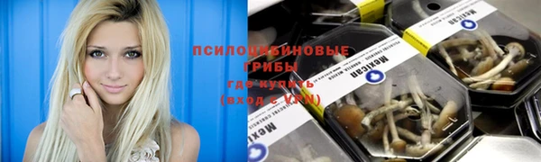СК Алексин