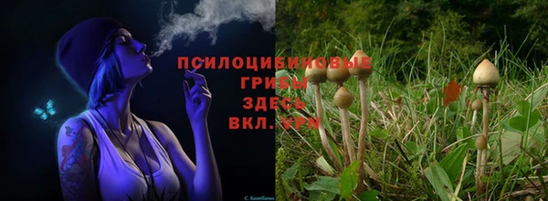 кокс Абаза